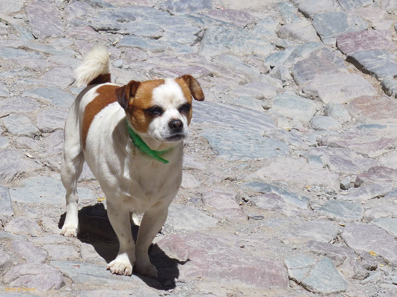 La Quebrada Iruya le village une rencontre