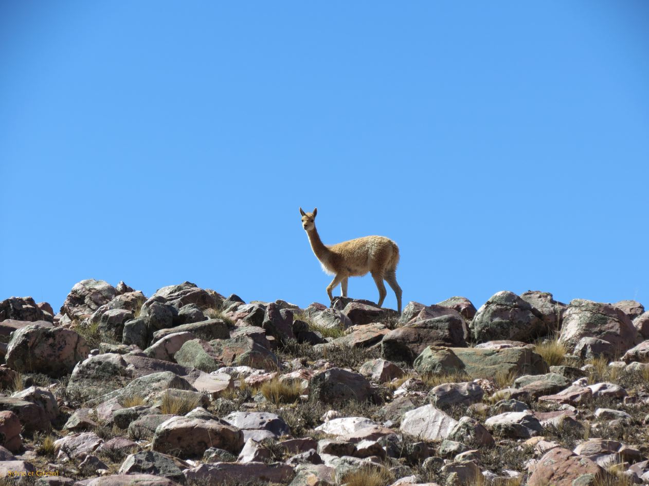 La Quebrada Iruya sur la piste vigogne 
