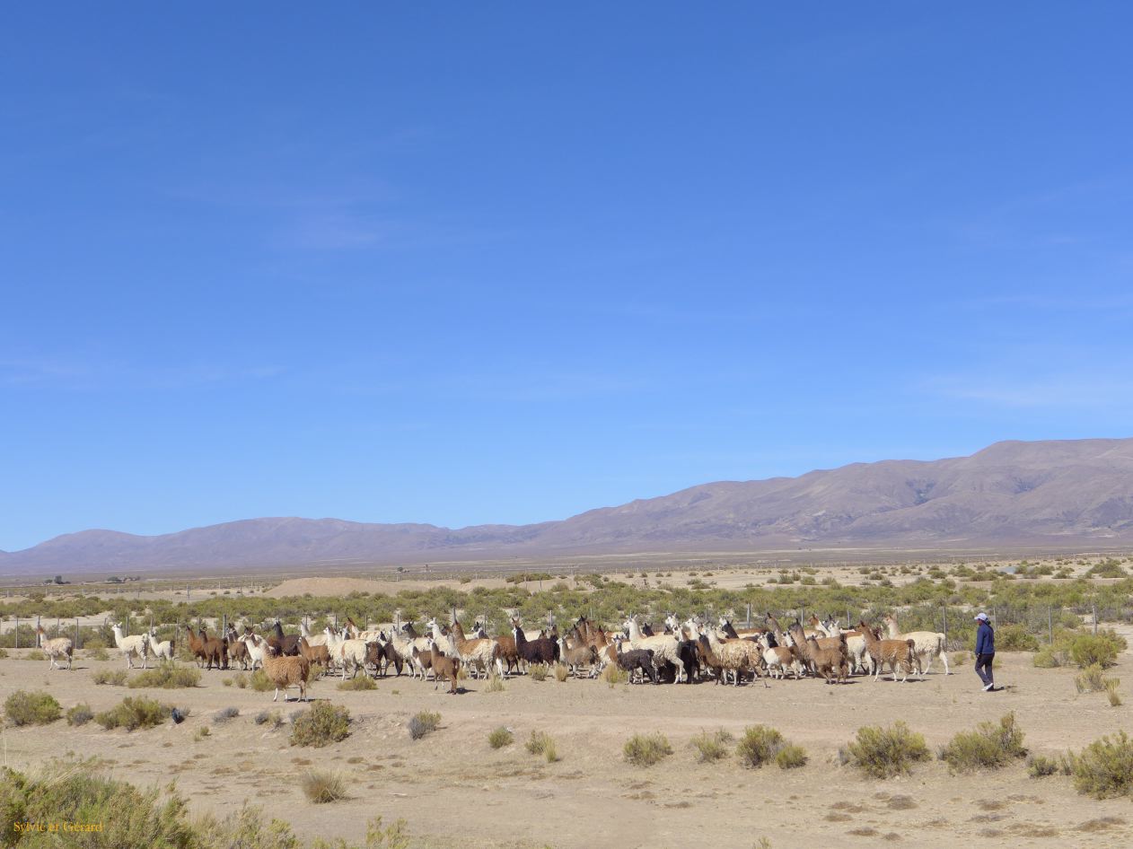 La Quebrada ruta 9 des lamas 
