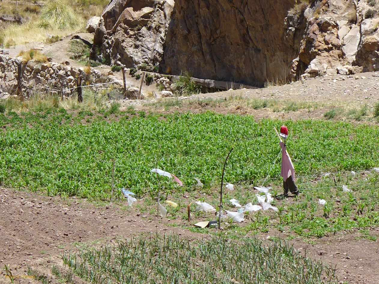La Quebrada Yavi au village 10
