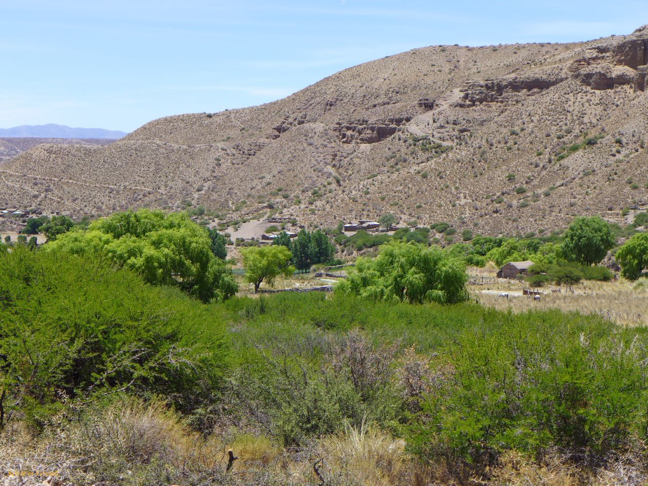 La Quebrada Yavi vers  Yavi Chico 02