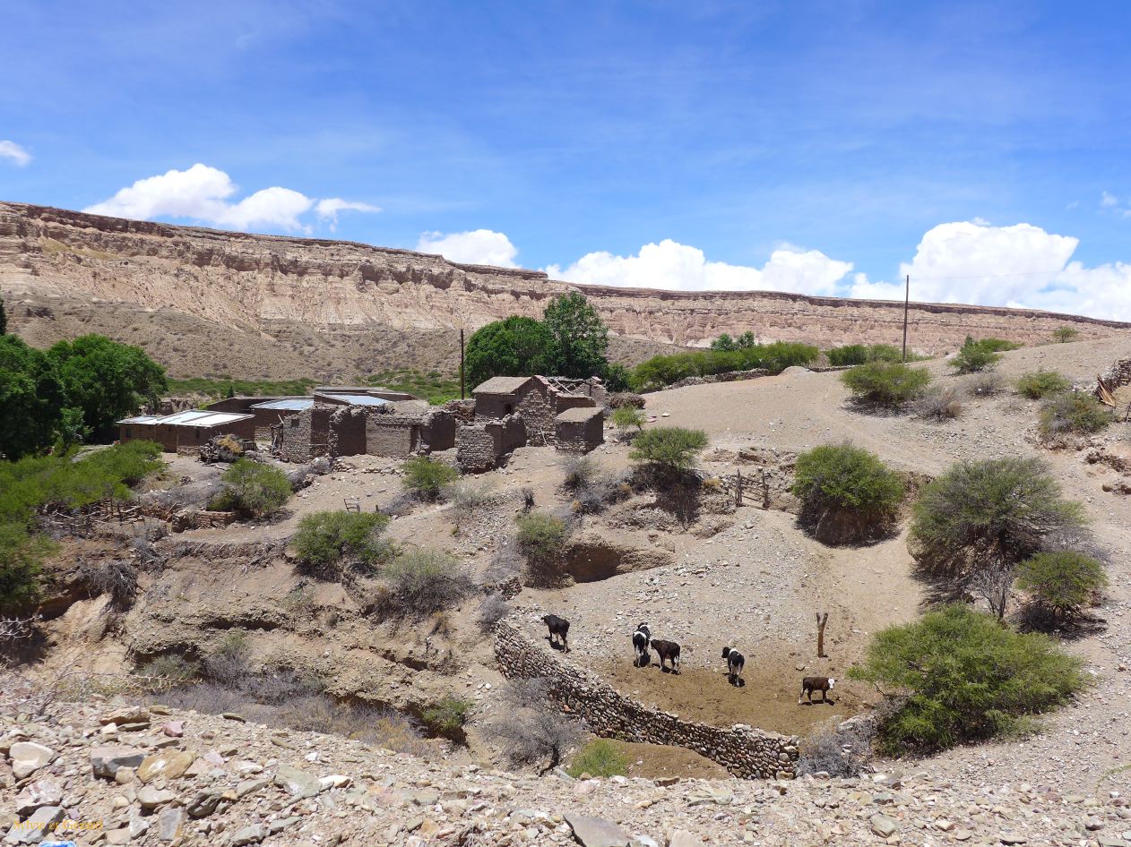 La Quebrada Yavi vers  Yavi Chico 04
