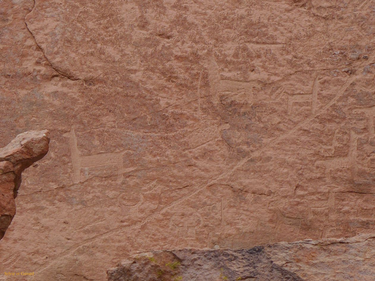 La Puna Los Barrancas vers le canyon les peintures rupestres lamas