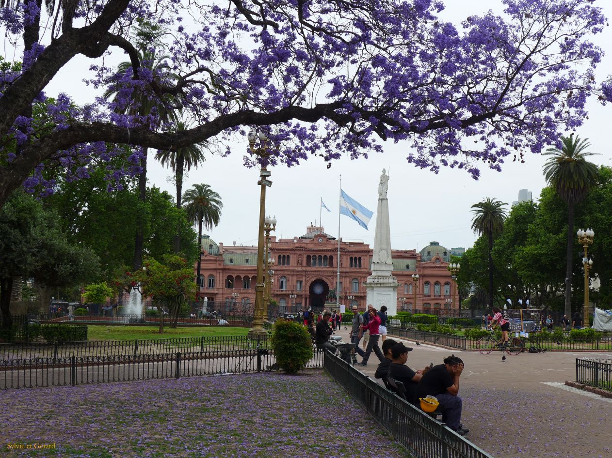 Retour à Buenos Aires Centro à la Plaza de Mayo P1310441