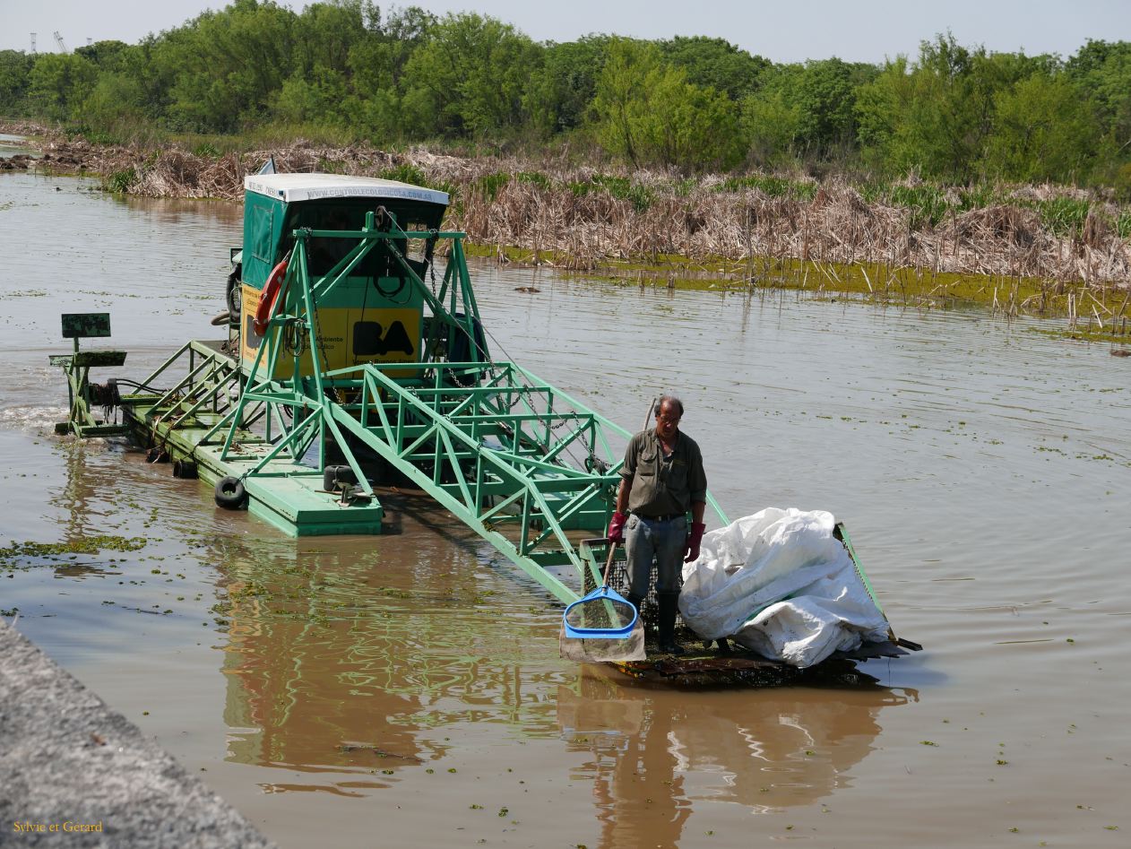 Retour à Buenos Aires vers Costanera Sur Rio de la Plata 04