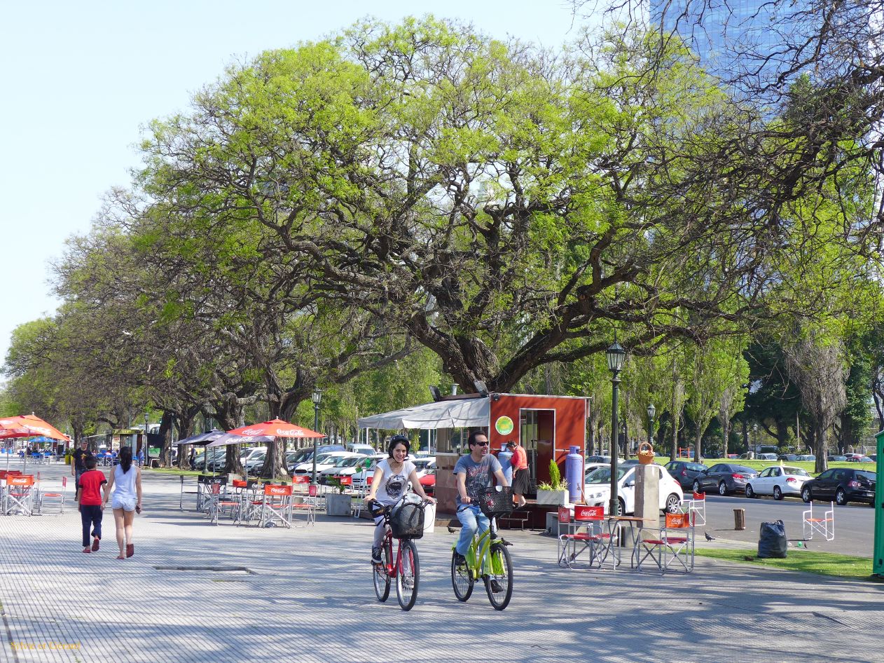 Retour à Buenos Aires vers Costanera Sur Rio de la Plata 08