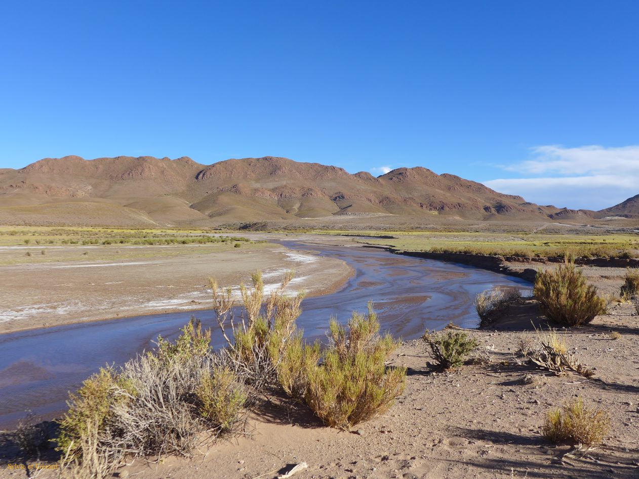 La Puna vers Huancar le rio Pastos Chicos 