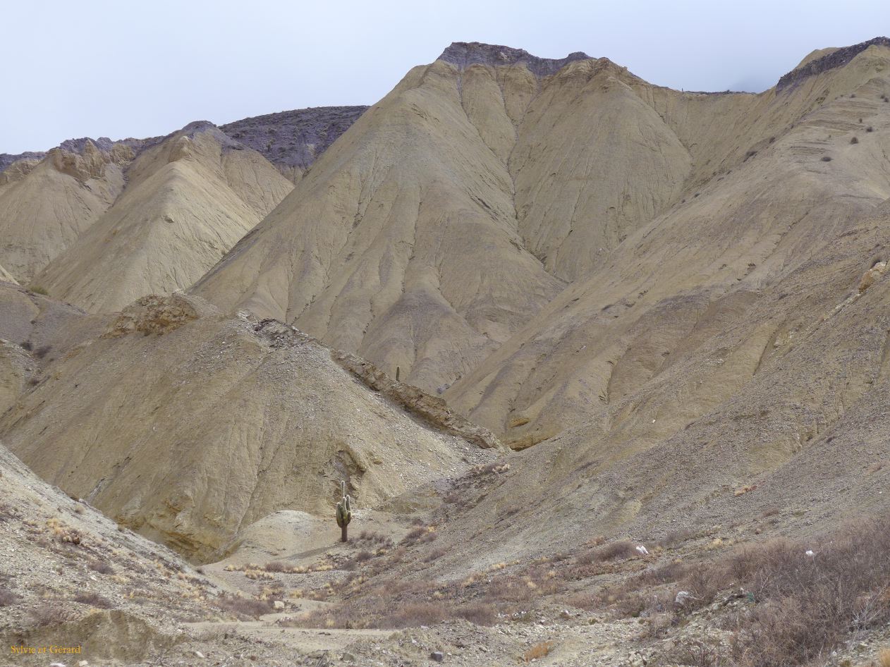 La Puna vers Pumamarca la Cuesta de Lipan ruta le cardone 52 