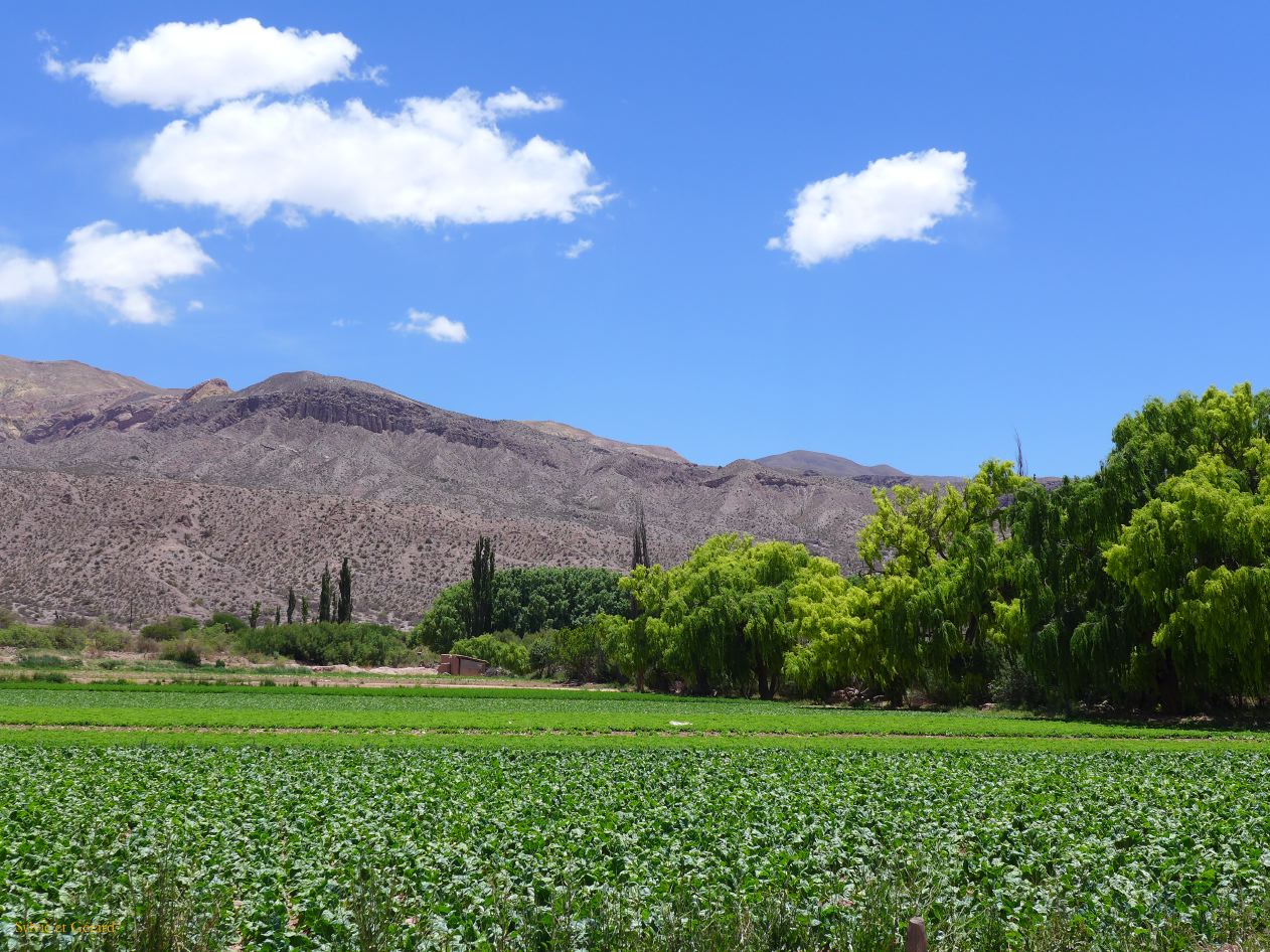 La Quebrada des cultures autour de Maimara 