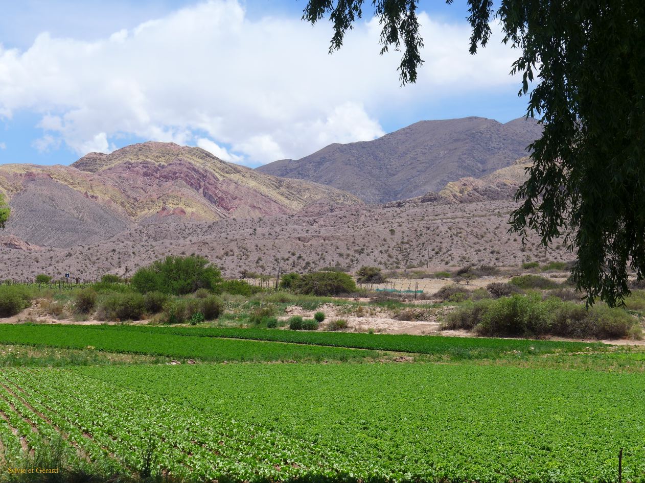 La Quebrada des cultures le long de la vallée
