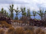 La Quebrada Humahuaca entrée de champs 