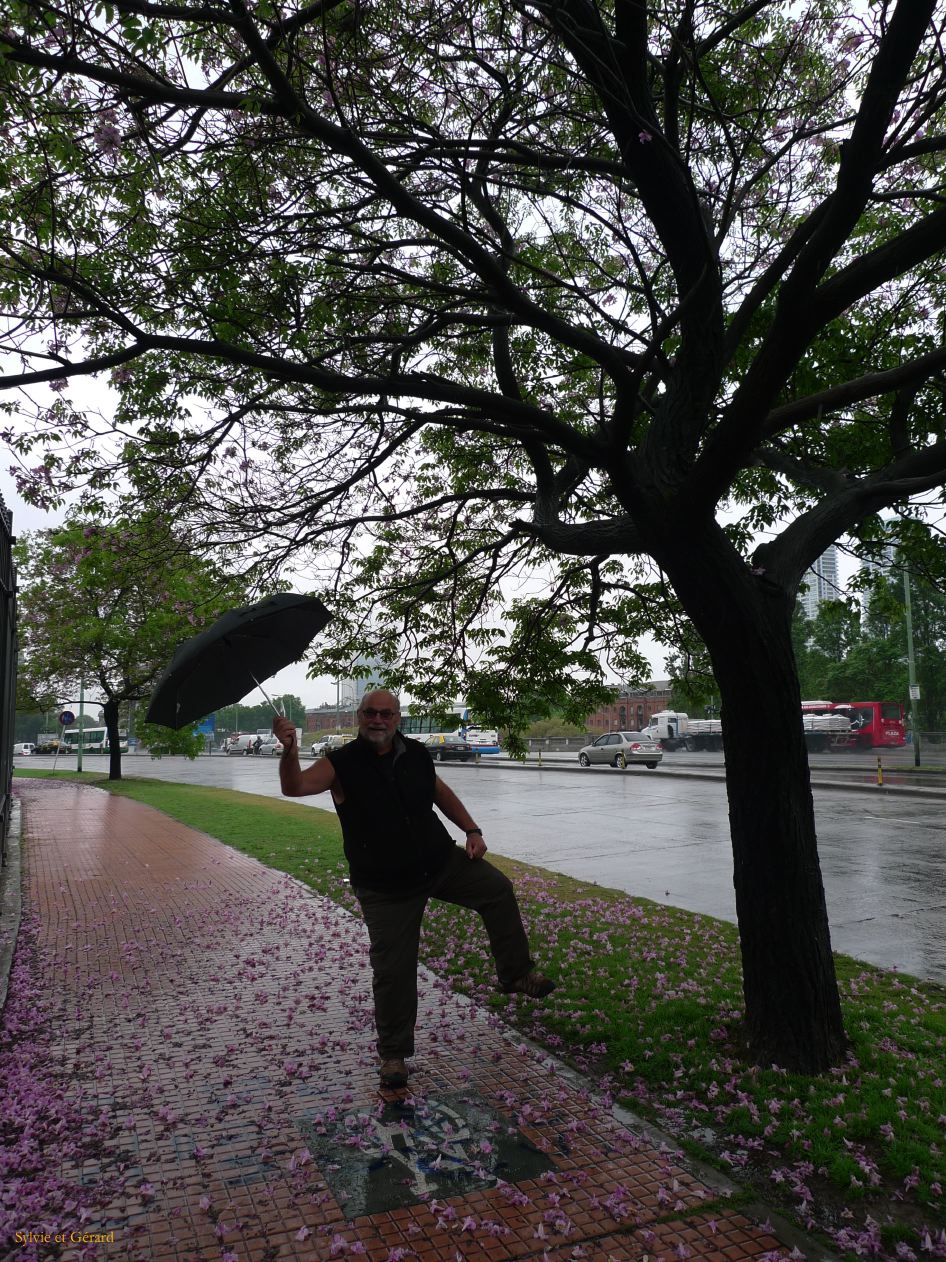 148 Buenos Aires Museo del Bicentenario le long des grilles