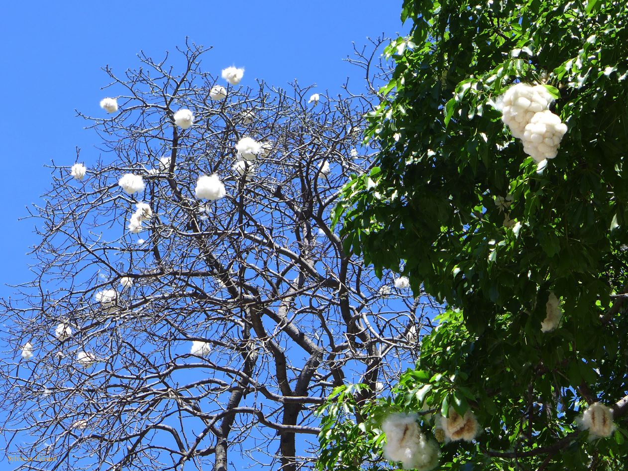 169 Buenos Aires Retiro