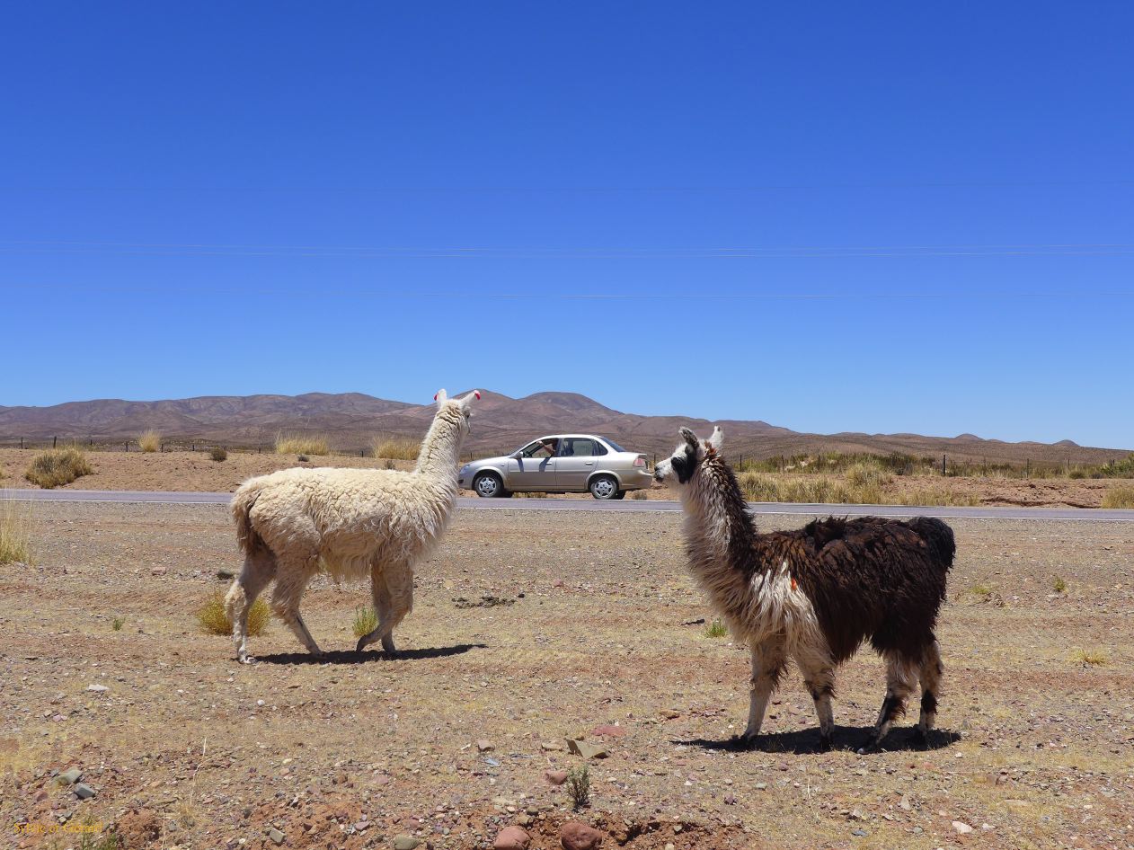 024 c'est qui ce touriste?