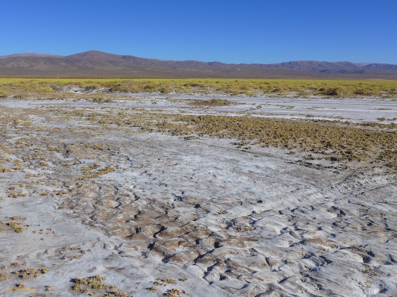 045 Salinas Grande