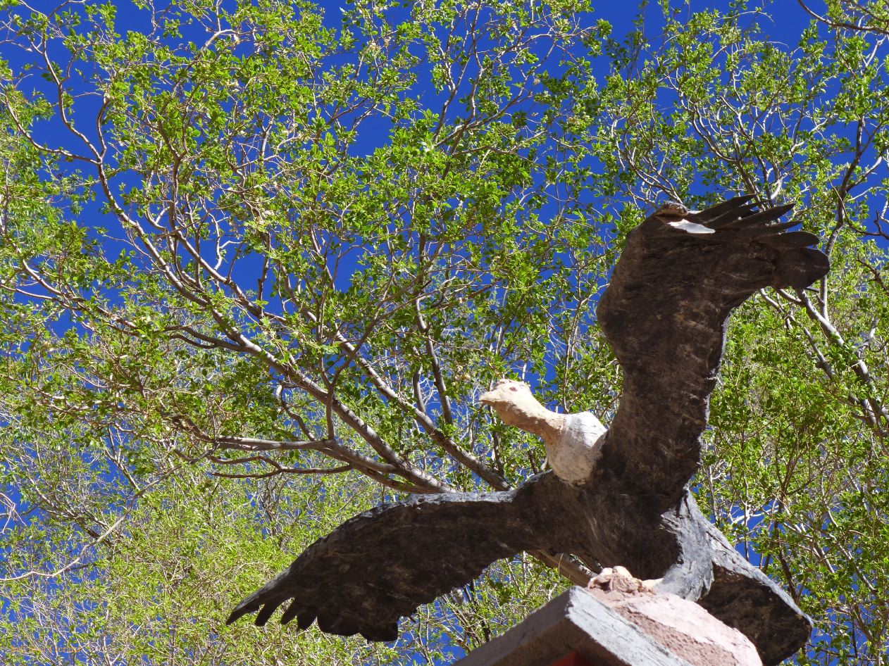 070 Susques el condor