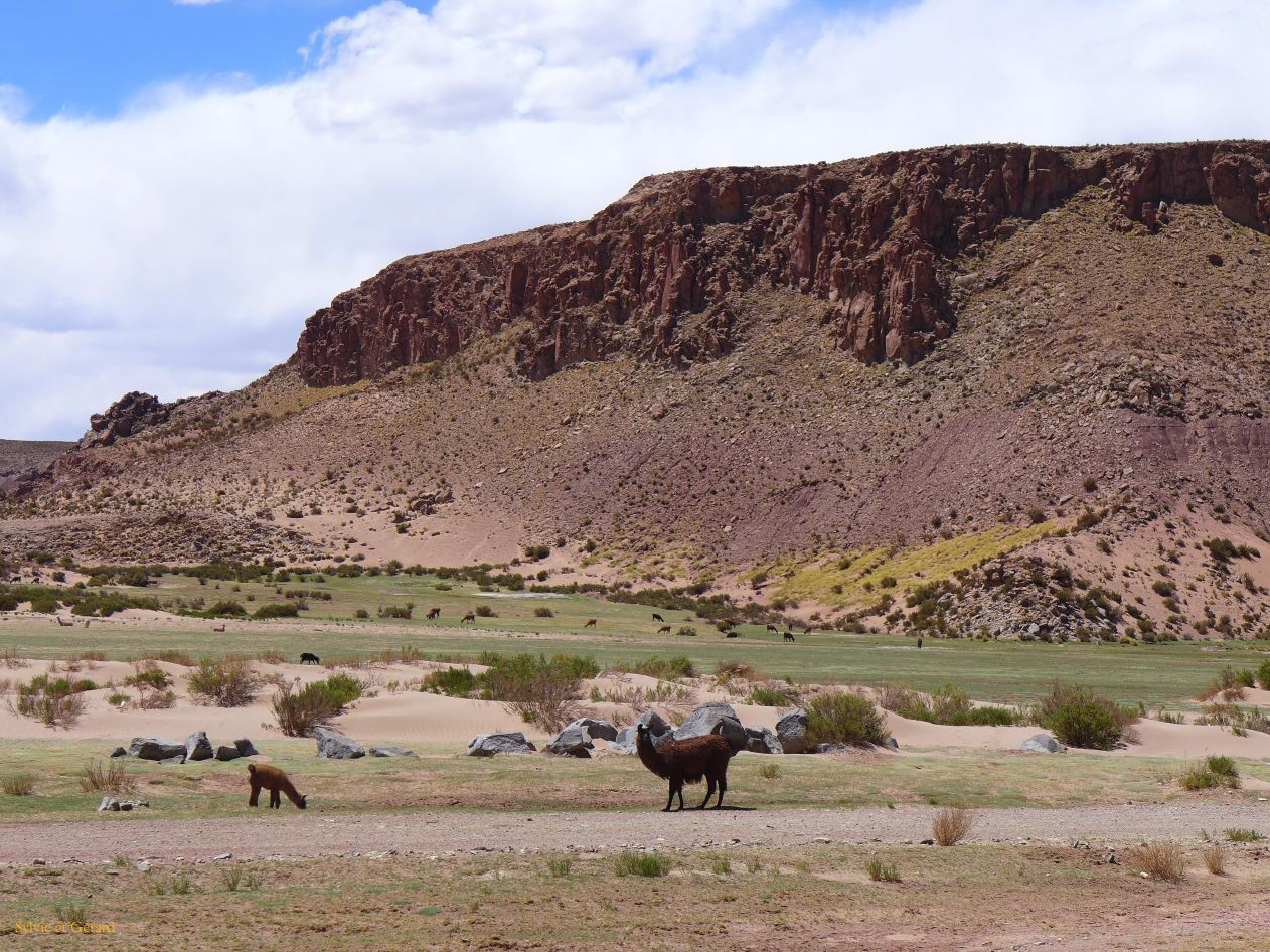 077 Susques route du Chili 