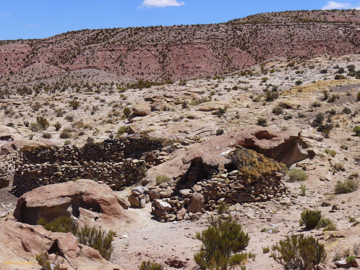082 Susques canyon aux lamas abri du berger