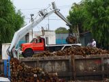 193 Tigre Puerto de Frutos déchargement de grumes