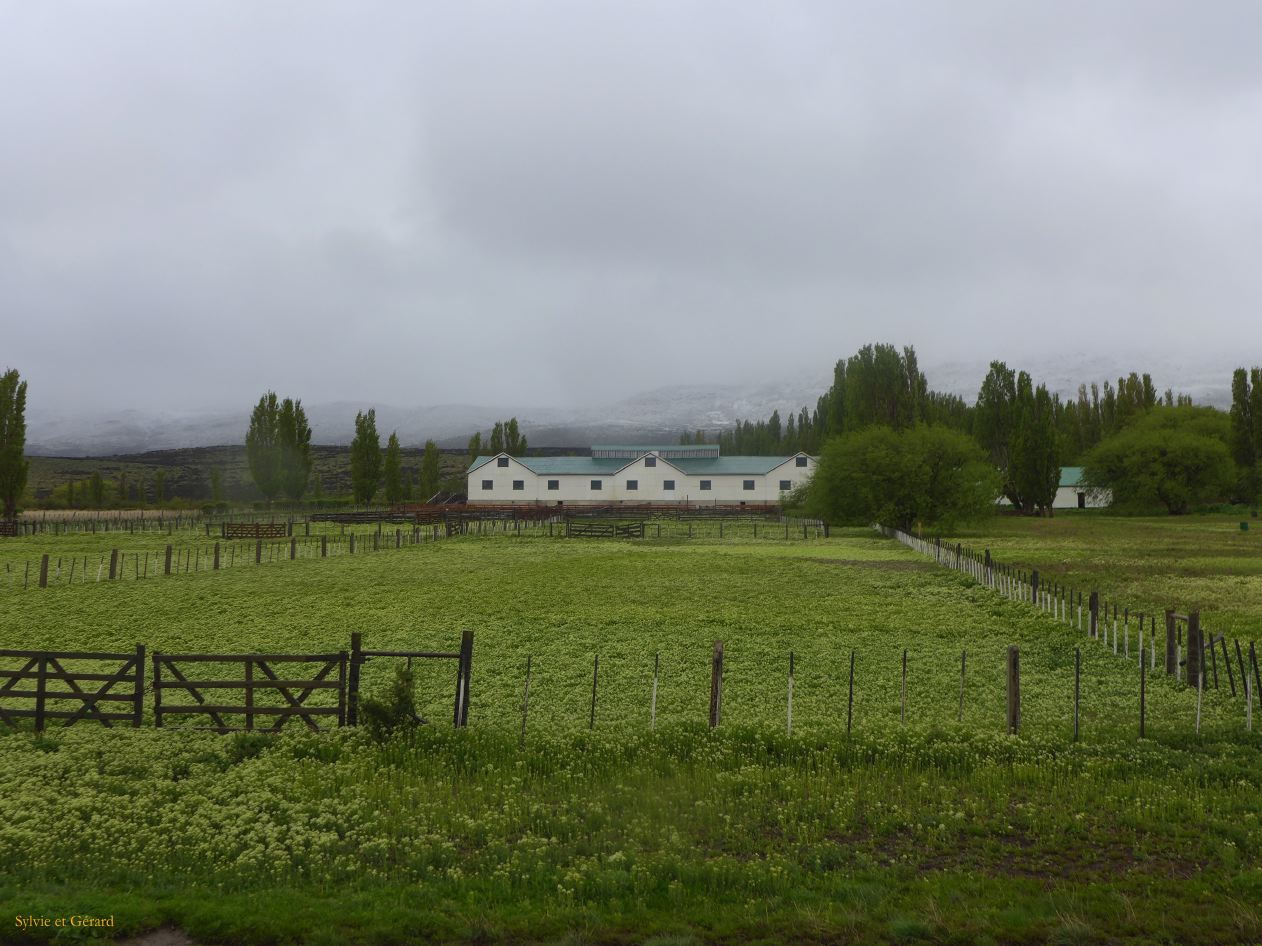 024 El Calafate en chemin vers le Perito Moreno