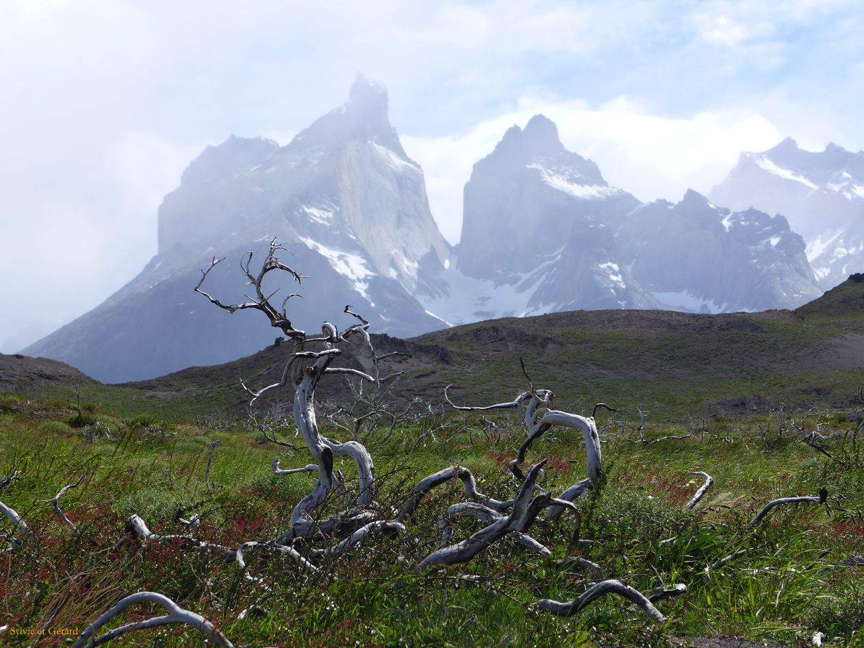 088 Parc Torres del Paine Salto Grande