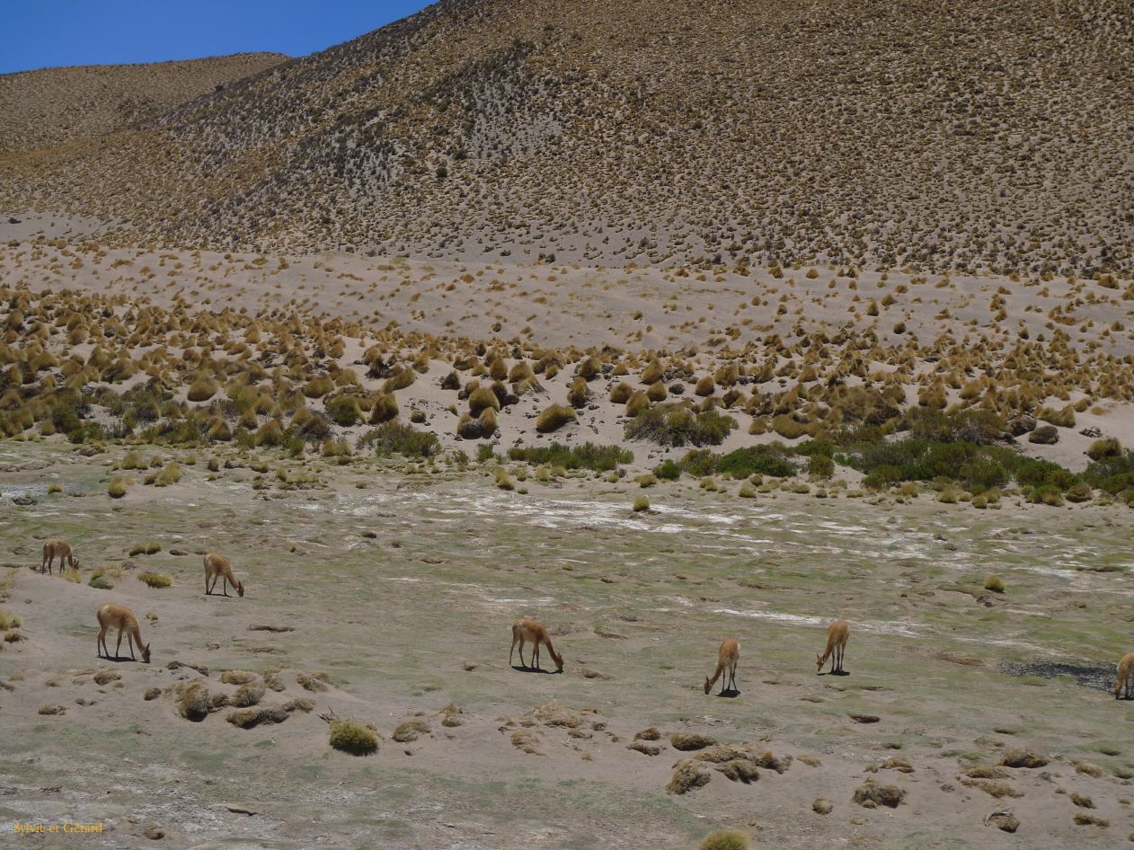 Argentine route du Chili  120