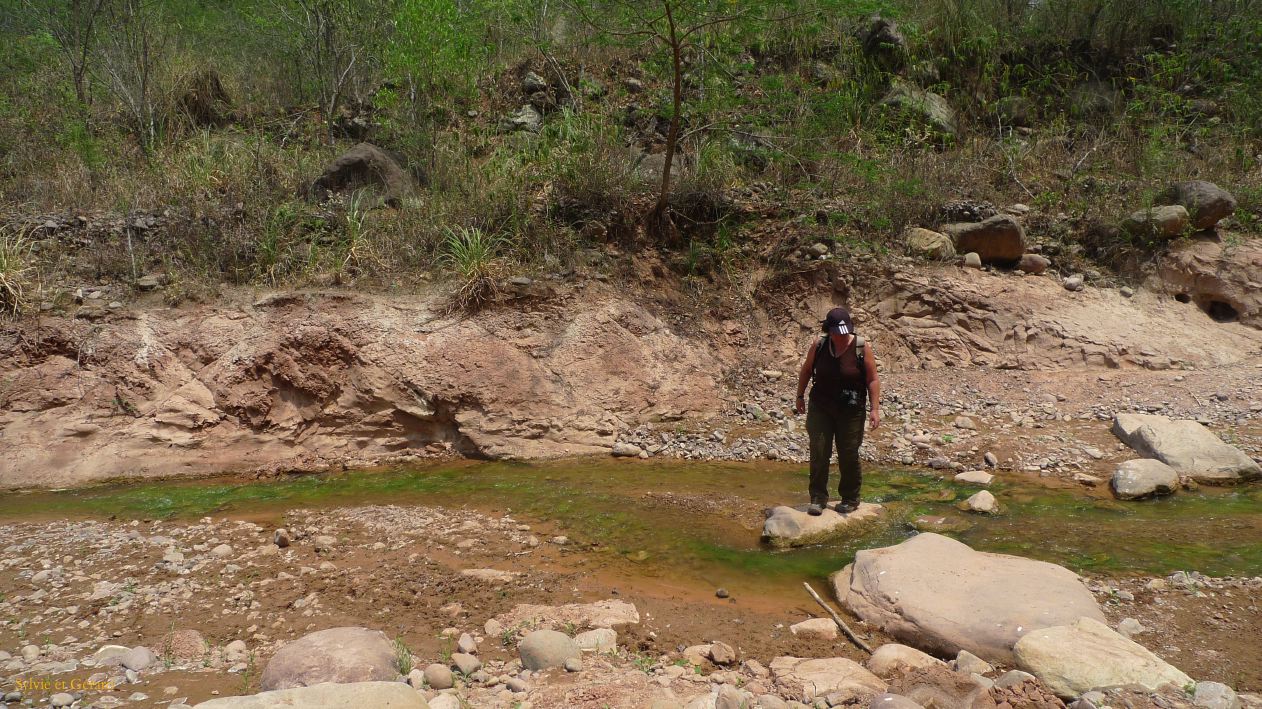 Argentine Nord Puna Yungas  034