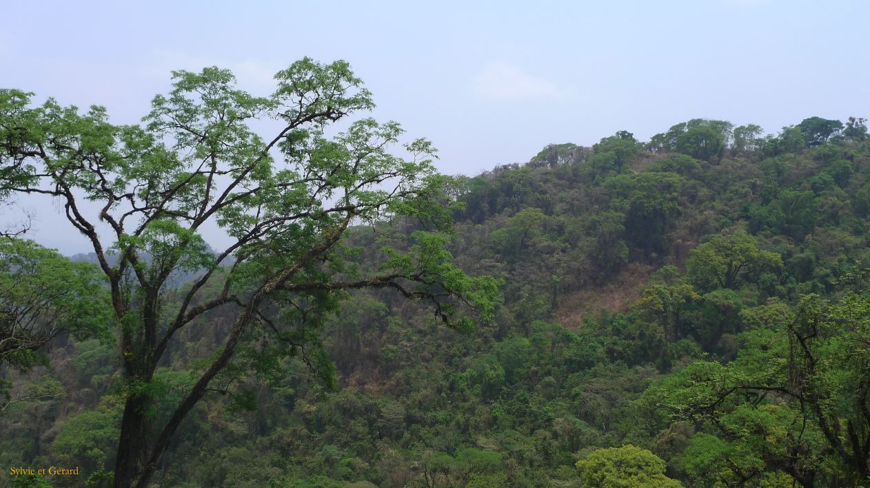 Argentine Nord Puna Yungas  061