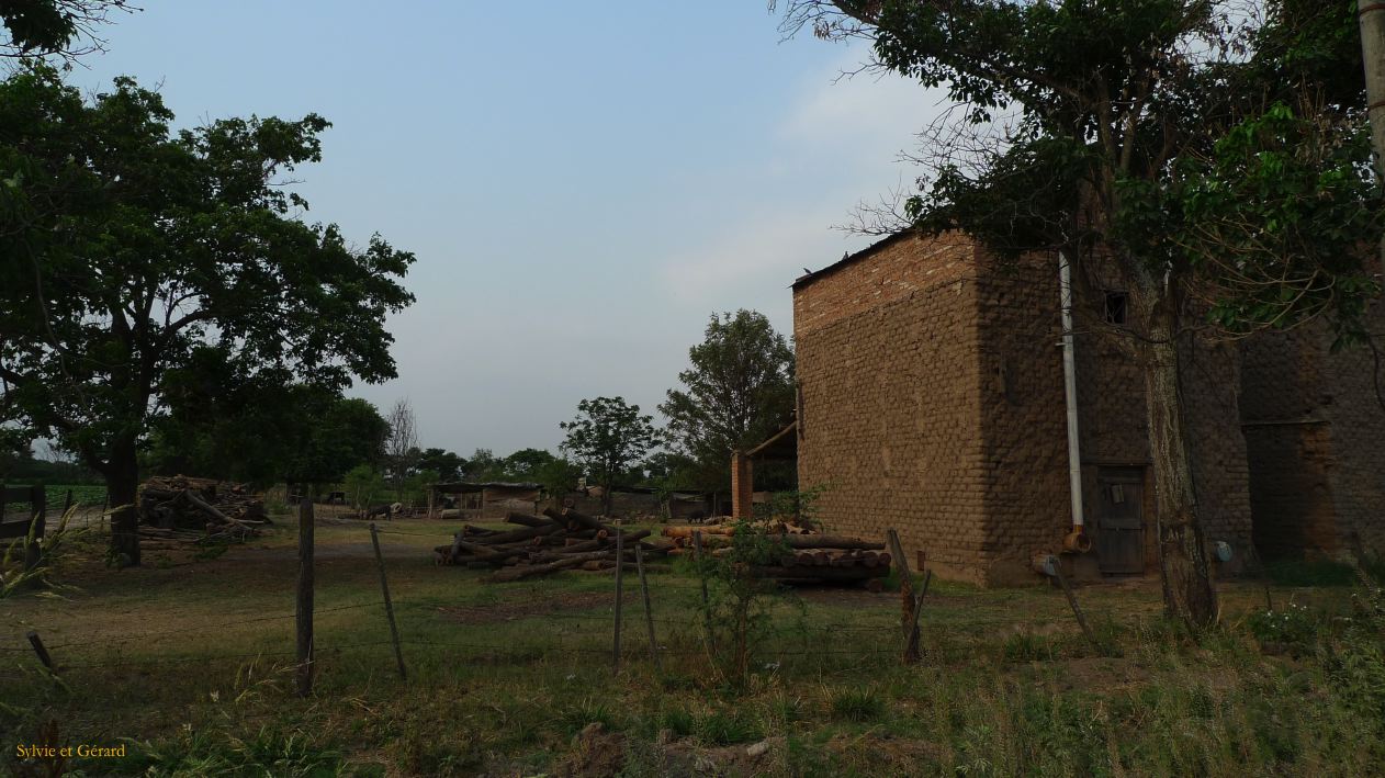 Argentine Nord Puna Yungas  089 séchoir