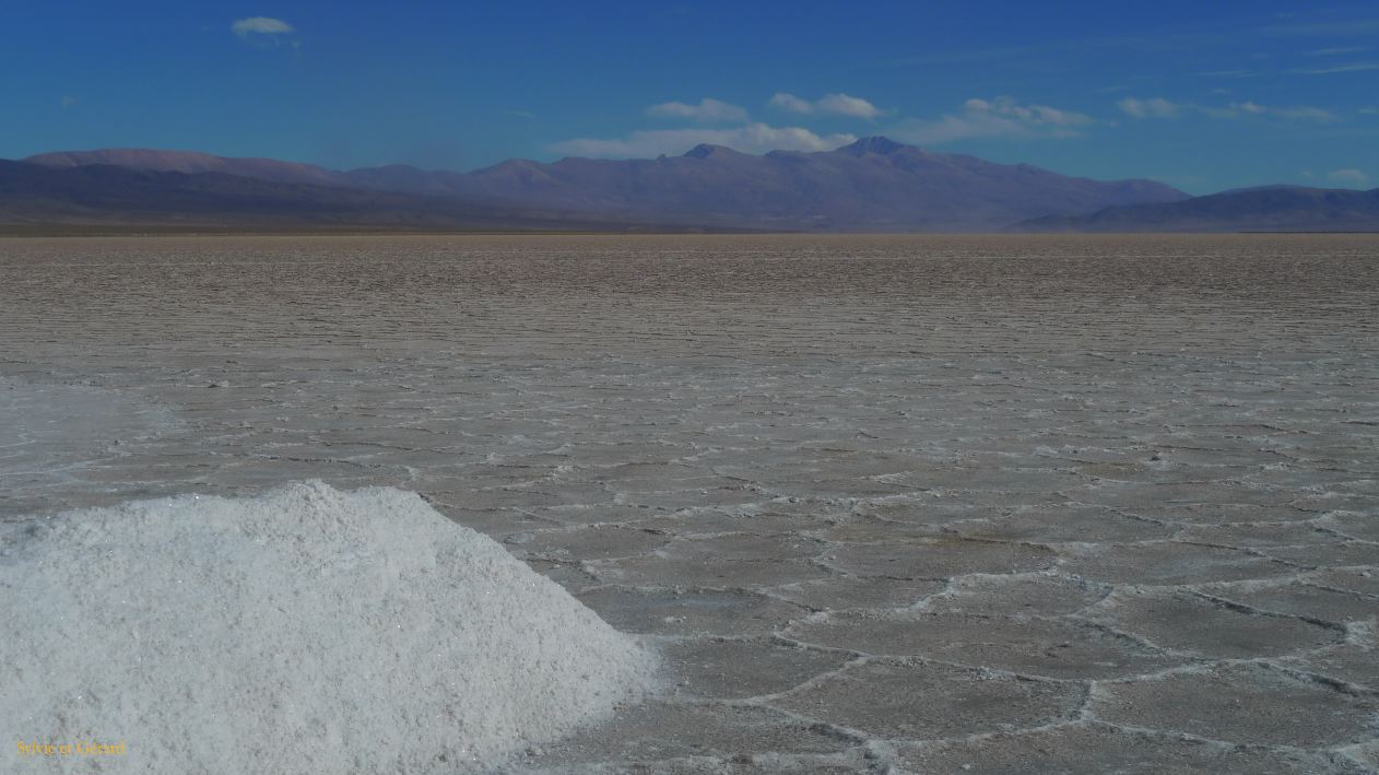 Argentine Nord Puna la route de Susques traversée des Salinas Grande  139