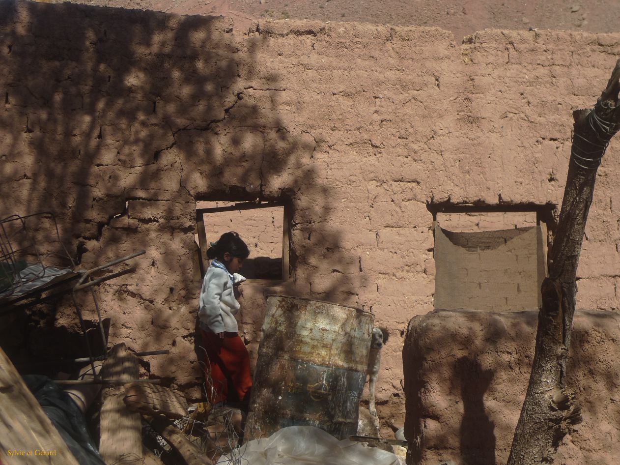 Argentine Nord Puna Susques   089