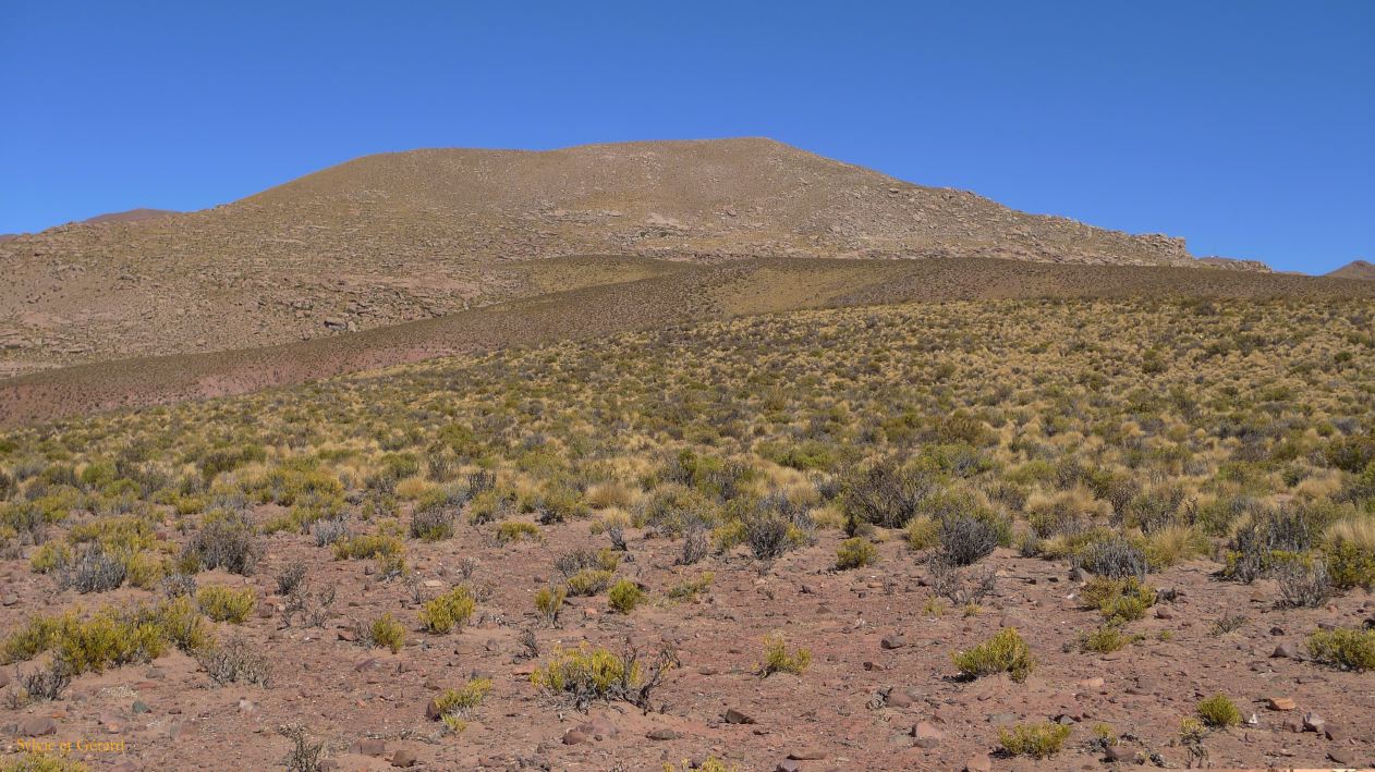 Argentine Nord Puna Susques à San Juan la piste  043
