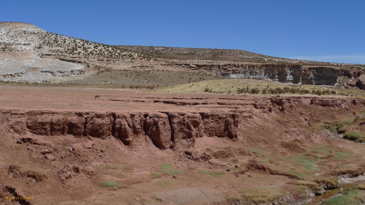Argentine Nord Puna Susques vers San Antonio de Los Andes  204