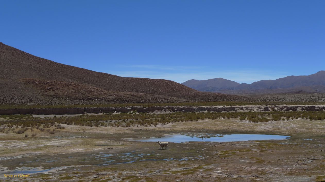 Argentine Nord Puna Susques vers San Antonio de Los Andes  211