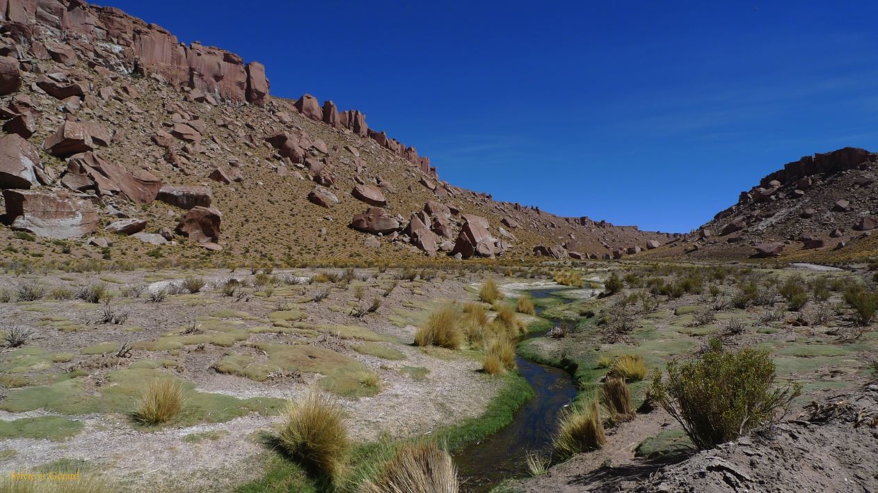 Argentine Nord Puna Susques vers San Antonio de Los Andes  249
