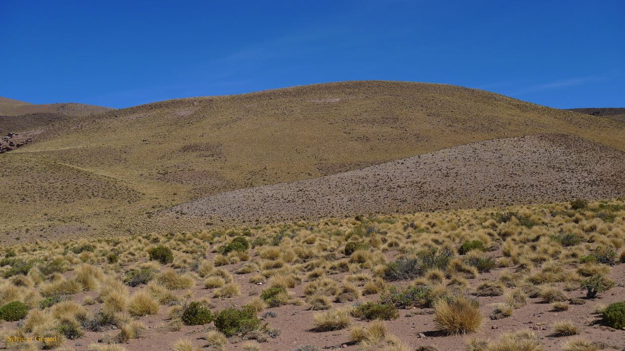 Argentine Nord Puna Susques vers San Antonio de Los Andes  261