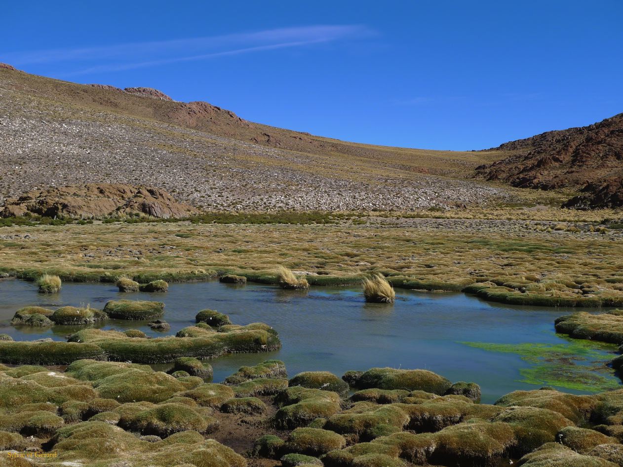 Argentine Nord Puna Susques vers San Antonio de Los Andes  280