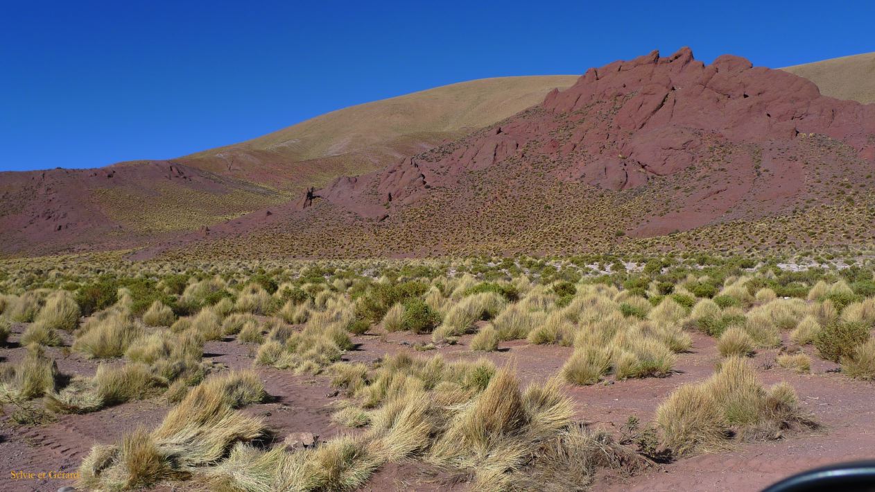 Argentine Nord Puna Susques vers San Antonio de Los Andes  292