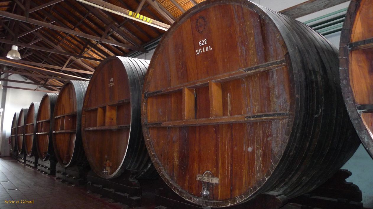 Argentine 2009 Nord Mendoza Bodega Lopez  008