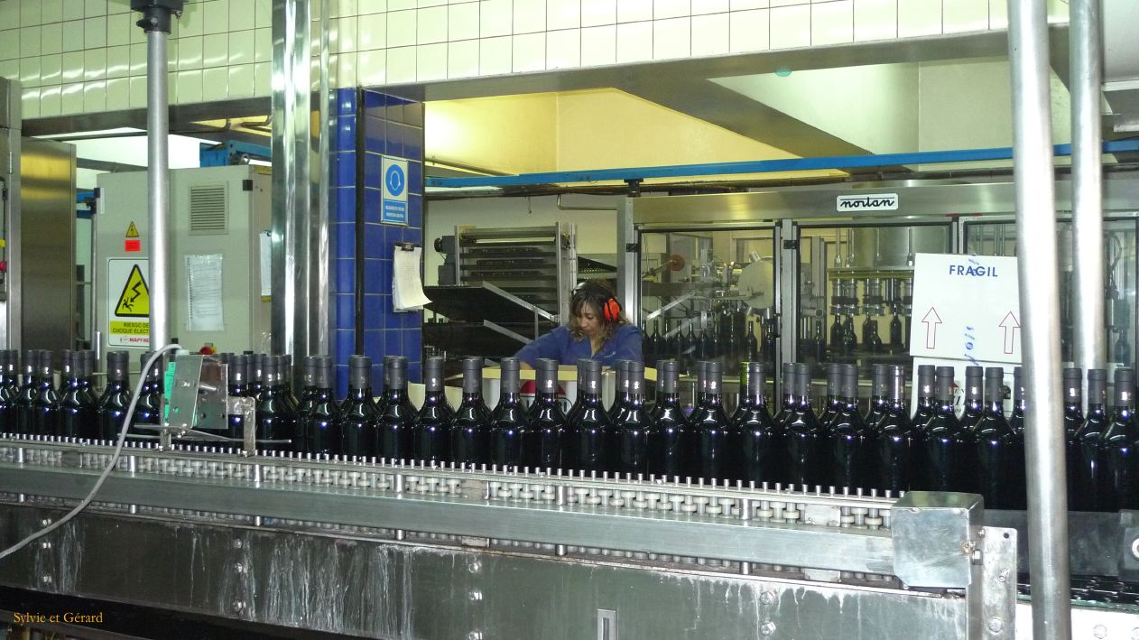 Argentine 2009 Nord Mendoza Bodega Lopez  019