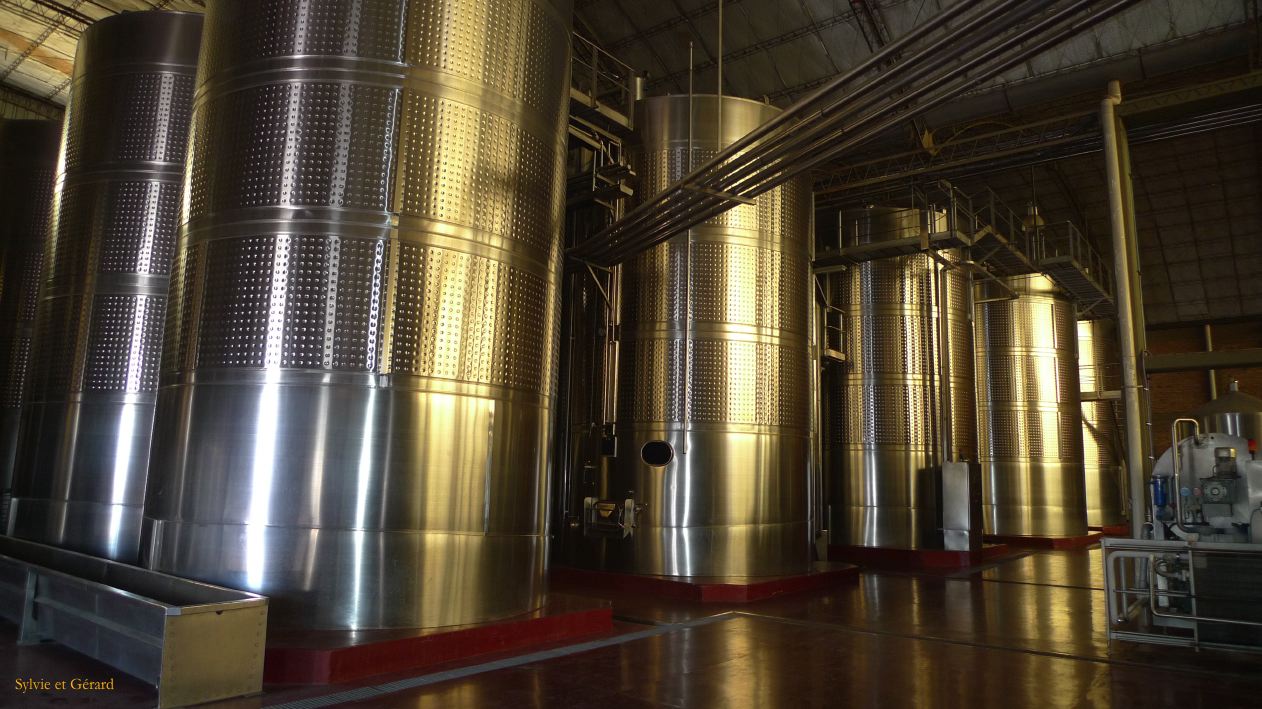 Argentine 2009 Nord Mendoza Bodega Lopez  033