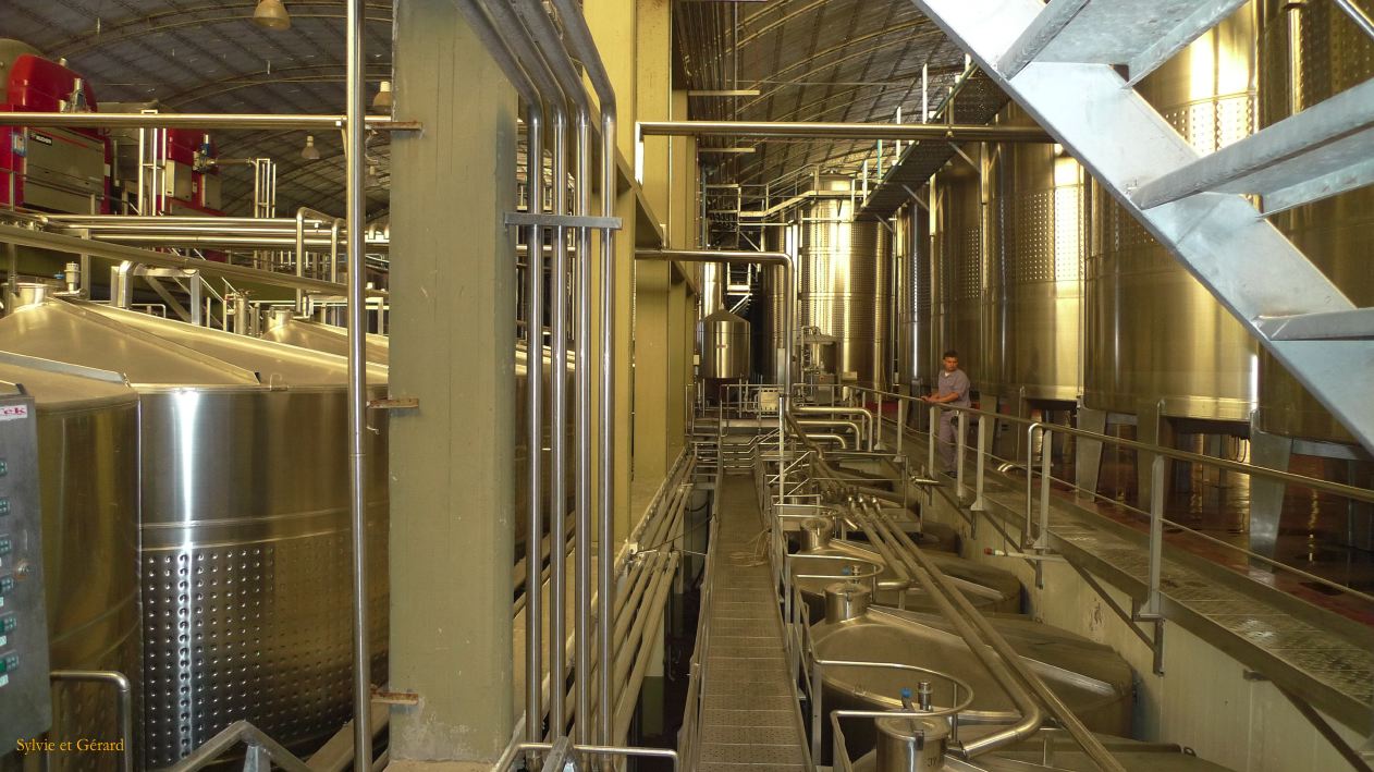 Argentine 2009 Nord Mendoza Bodega Lopez  038