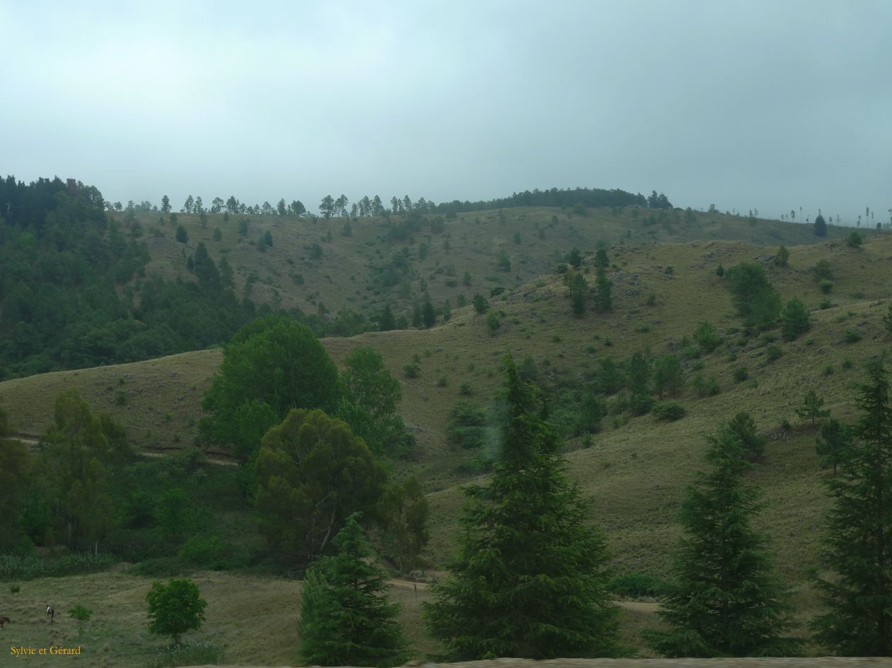 Argentine 2009 Nord Autour de Cordoba la Cumbrecita  035