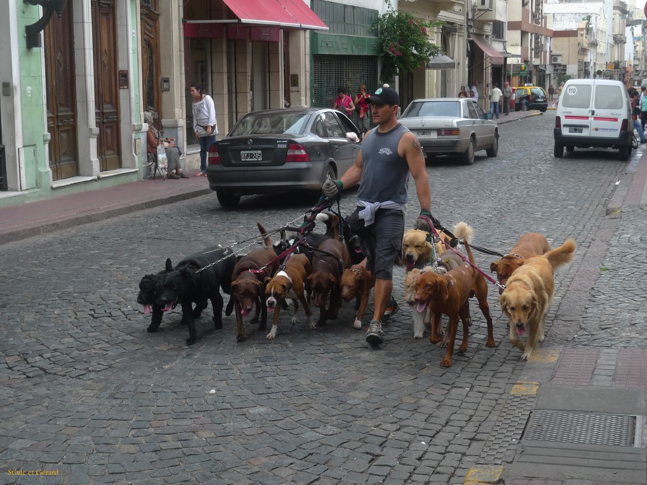 Argentine 2009 Buenos Aires San Telmo  016