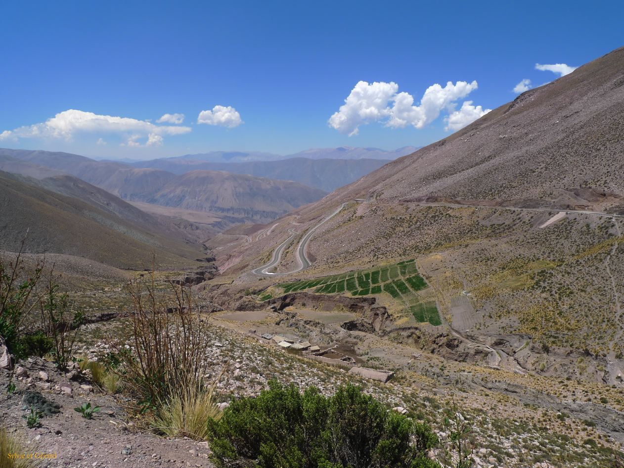 Argentine Nord Puna la route de Susques Cuesta de Lipan  003