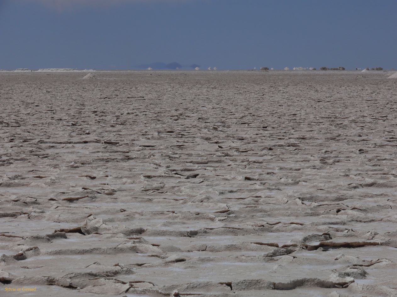 Argentine Nord Puna la route de Susques traversée des Salinas Grande  065