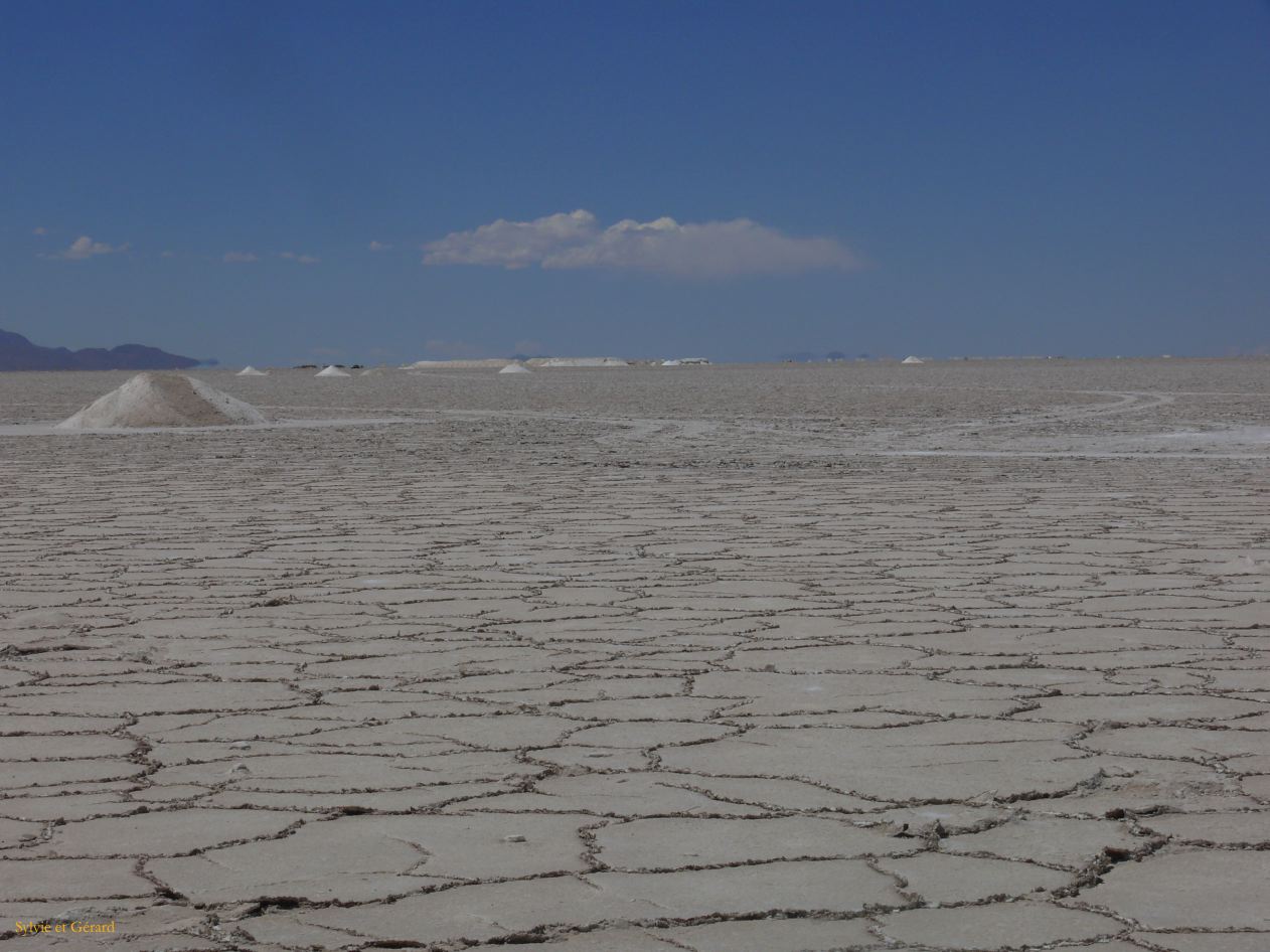 Argentine Nord Puna la route de Susques traversée des Salinas Grande  070