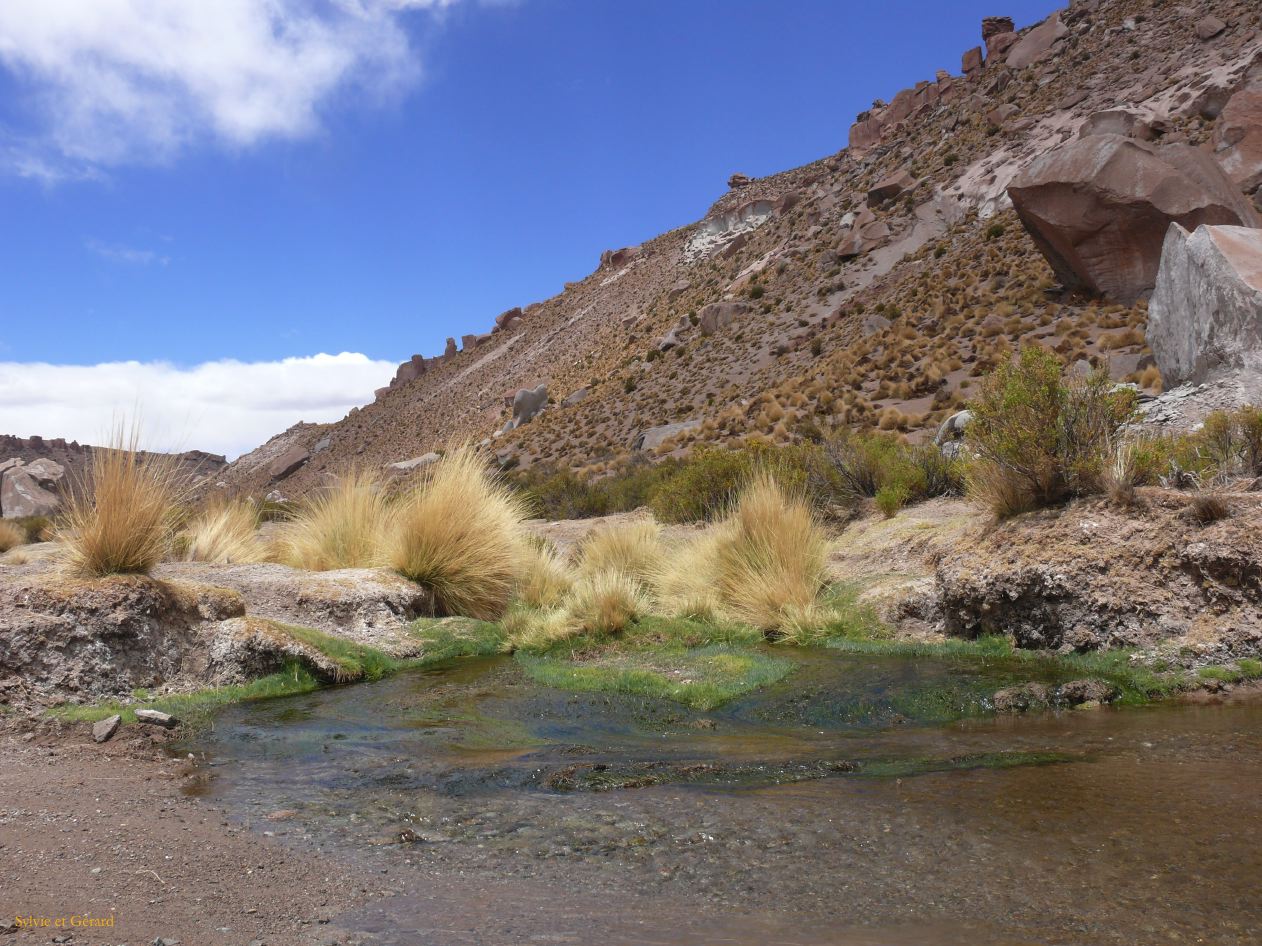 Argentine Nord Puna Susques vers San Antonio de Los Andes  068