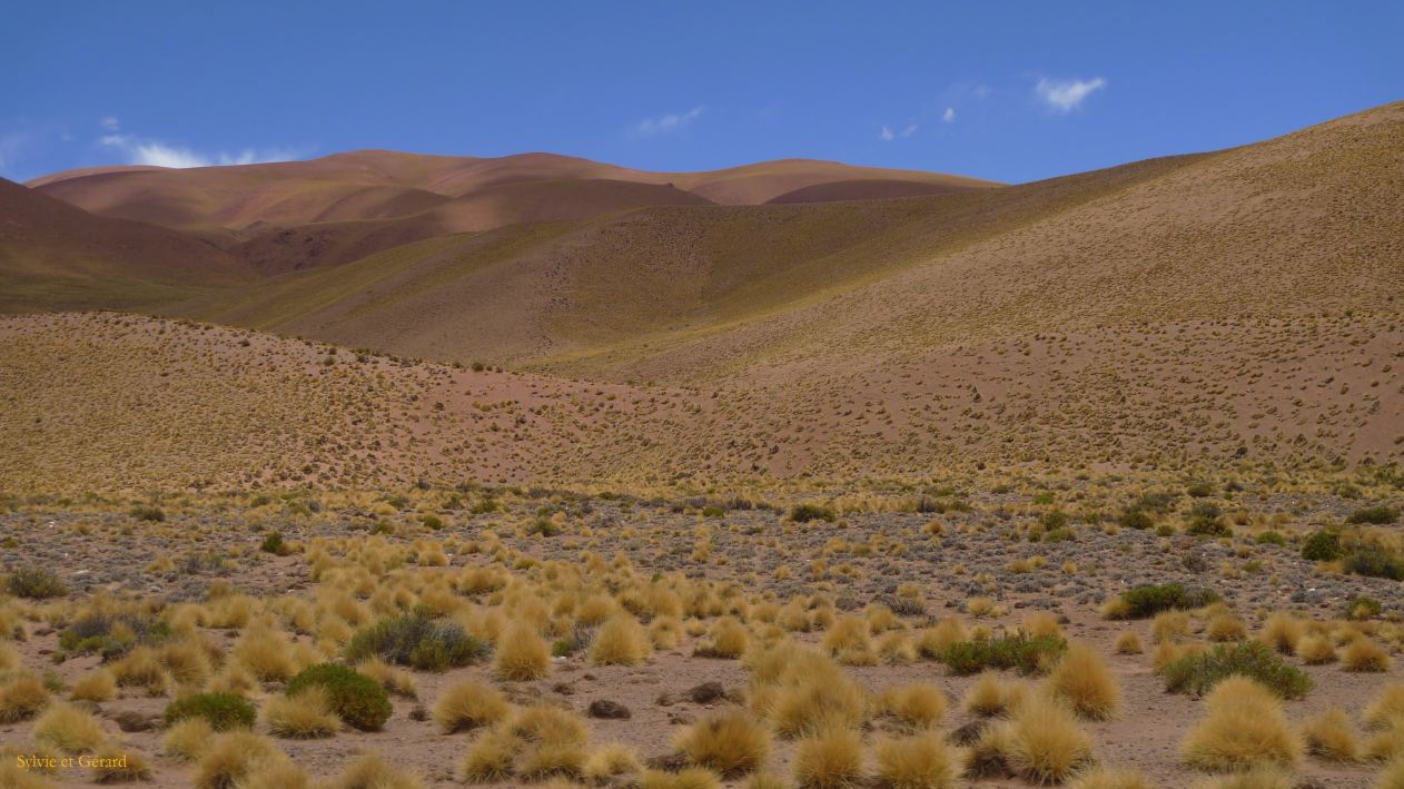 Argentine Nord Puna Susques vers San Antonio de Los Andes  102