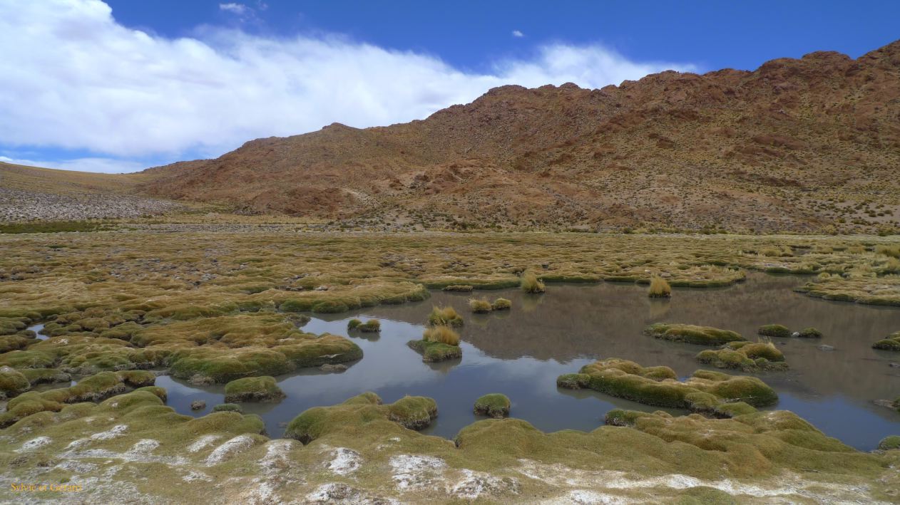 Argentine Nord Puna Susques vers San Antonio de Los Andes  281